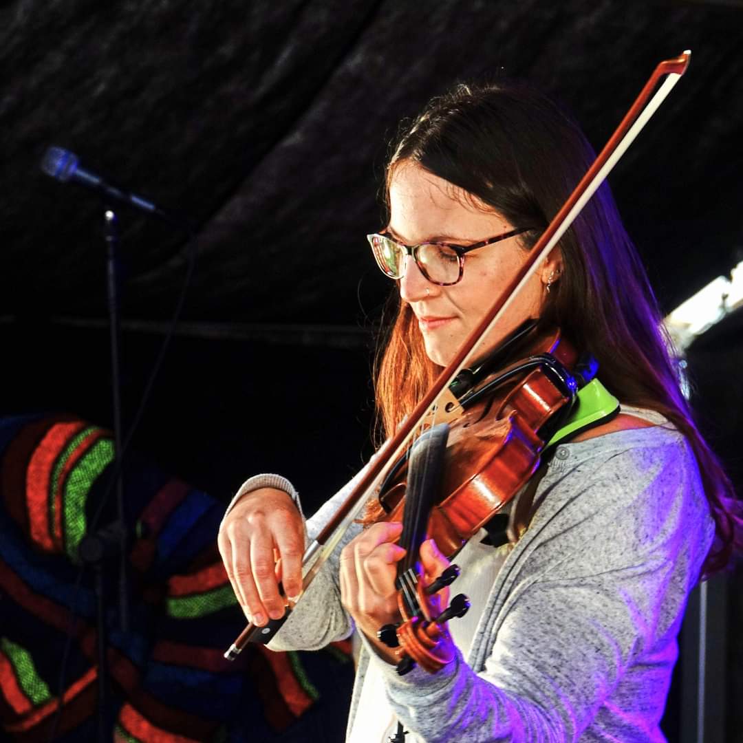 Close up violin onstage